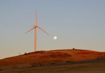 carbon neutral