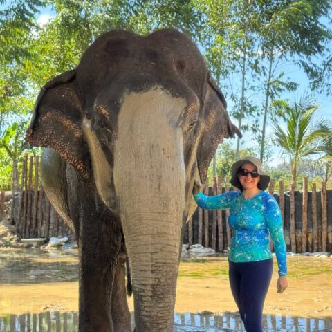 Ruth holidayed to Vietnam, Cambodia and Thailand and had an amazing time. The highlights were exploring Angkor Watt, scuba diving & snorkling in the Similan Islands, parasailing, zip lining and visiting an elephant sanctuary.